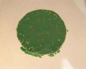 Green circle
