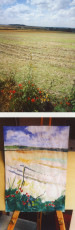 Poppies & field - with photo 2002-3