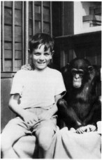 1951 Roger with chimp at Whipsnade Zoo