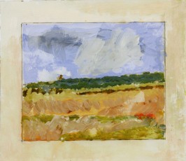 Fields & sky 2005