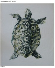 Tortoise 1963